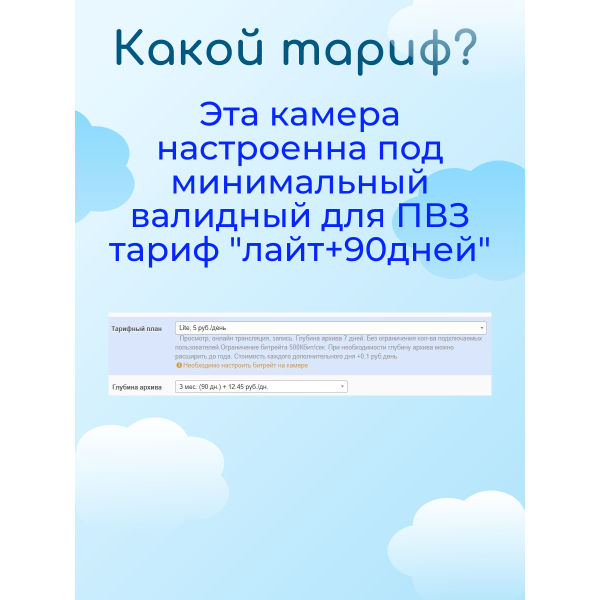 Камера видеонаблюдения для ПВЗ